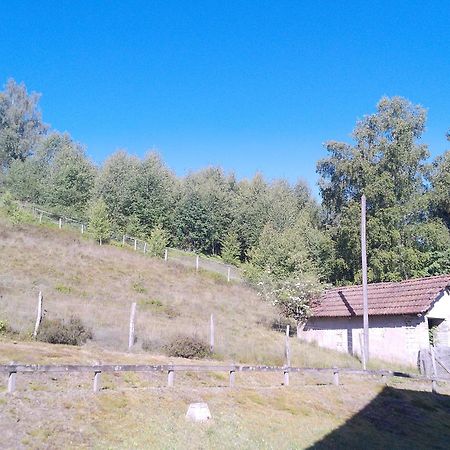 Le Bucheron au cœur du massif des Vosges 3 étoiles Gérardmer Extérieur photo