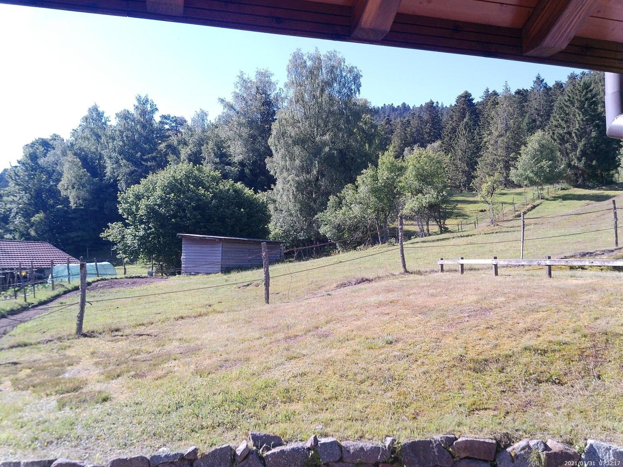 Le Bucheron au cœur du massif des Vosges 3 étoiles Gérardmer Extérieur photo